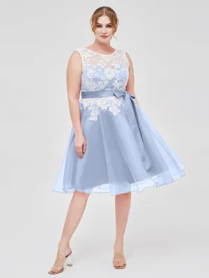 Illusion Neck Organza with Ivory Lace Appliqued Sky Blue Plus Size