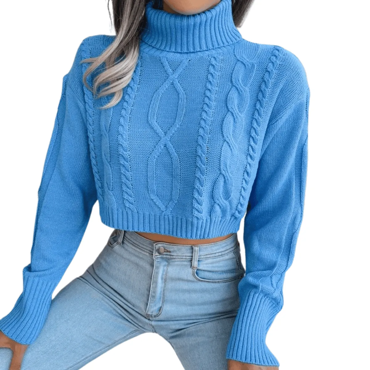 Knit Turtleneck Crop Sweater For Women